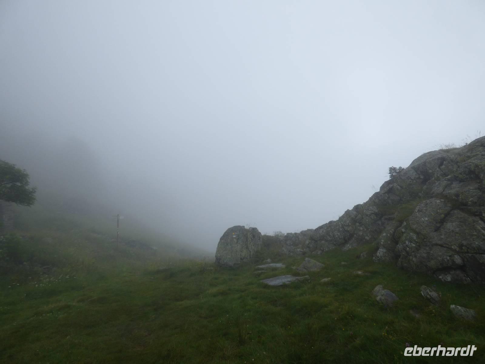 Im Nebel // Am Fuße des Comapedrosa