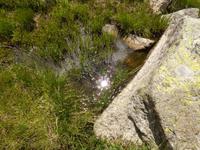 Beim Moreno-See