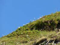 Der Blick nach oben