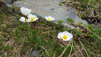 Impressionen