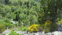 Impressionen