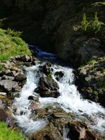 Natur pur
