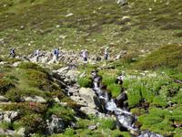 Natur pur