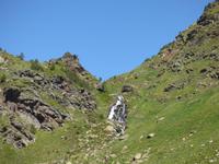 Natur pur