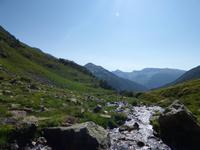 Natur pur