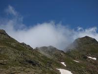 Natur pur
