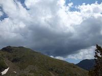 Natur pur