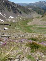 Sorteny-Naturpark