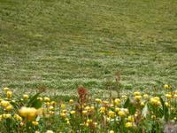 Sorteny-Naturpark