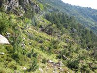Vall de Sorteny