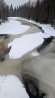 20250225_7 herrliche Winterlandschaft.jpg