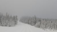 20250301_3 Winterwunderland.jpg