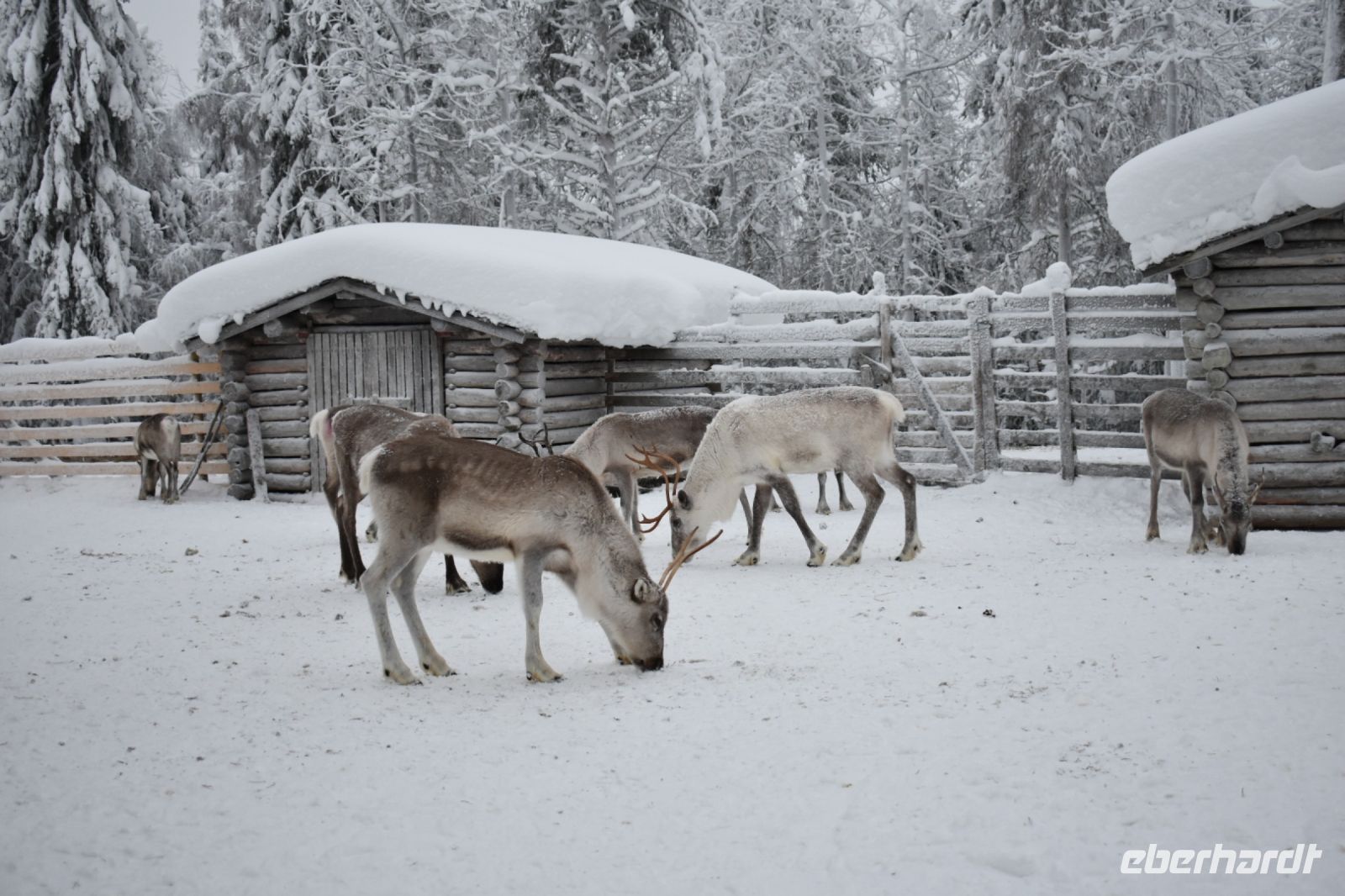 Rentier Kindergarten