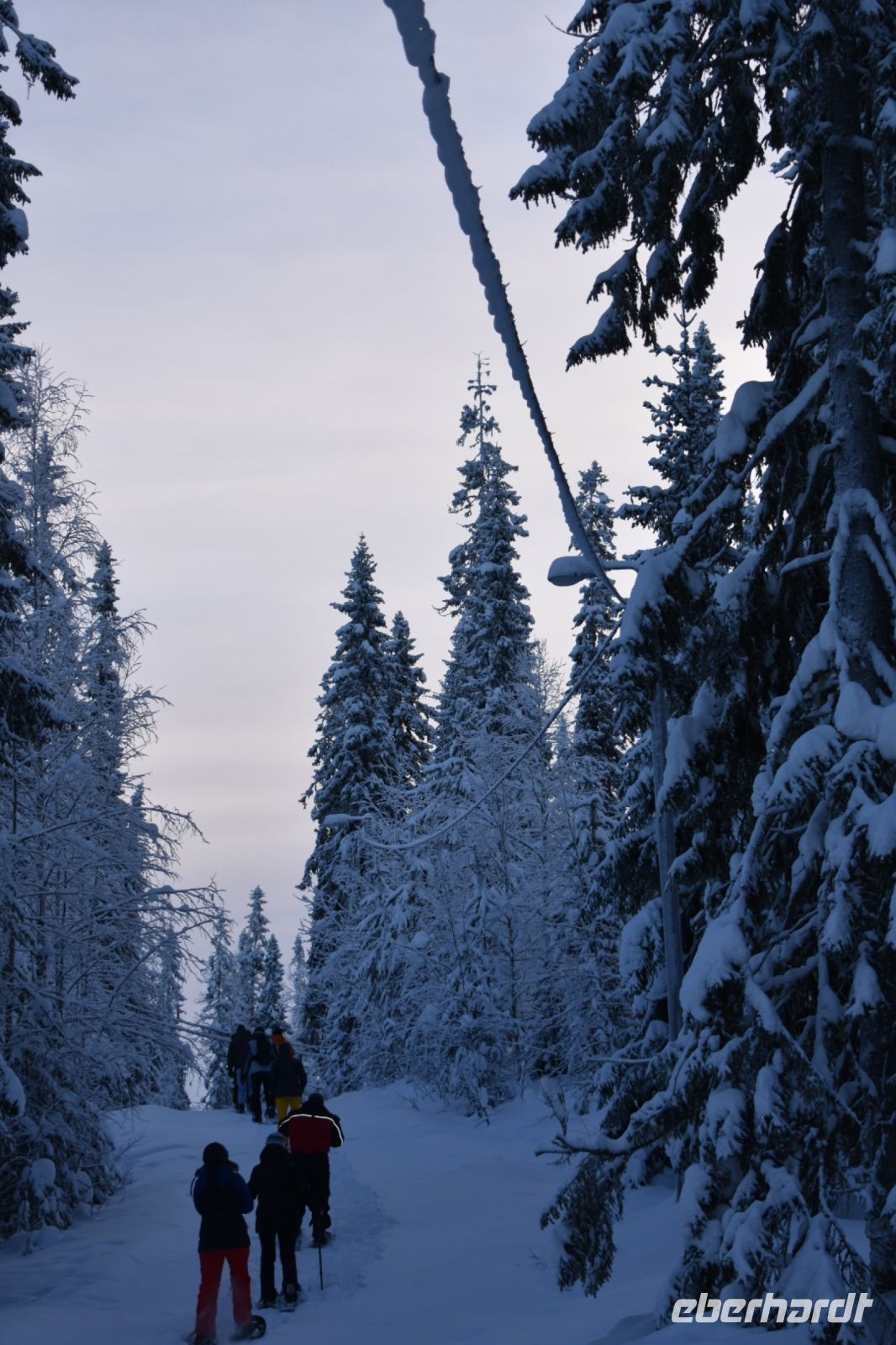 Schneeschuhwanderung