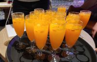 Cocktail-Abend auf der MS Aurora Botnia