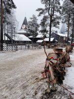Renntier im Weihnachtsdorf