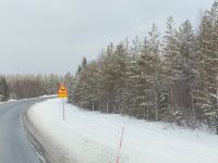 Finnland. Achtung Elche!