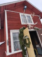 Finnland - auf der Rentierfarm