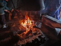 Finnland - auf der Rentierfarm