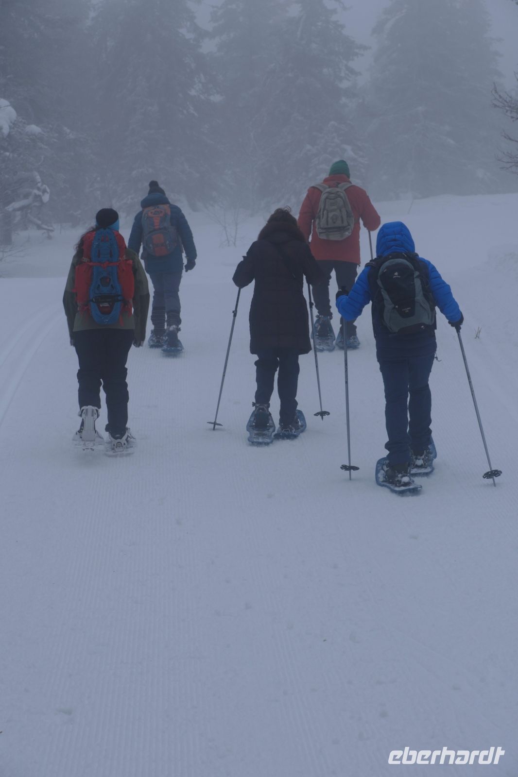Schneeschuhwanderung in Lappland - Finnland