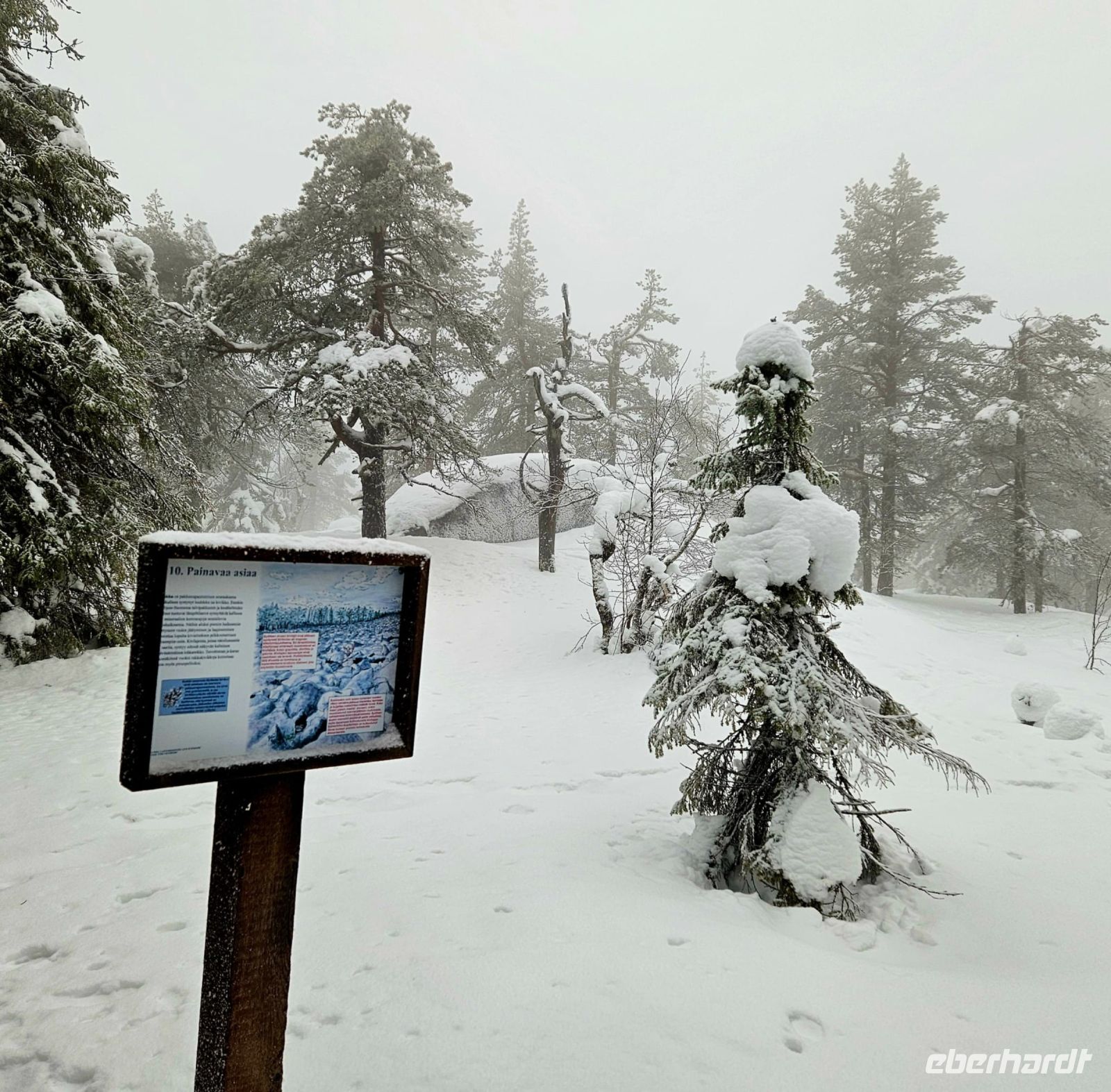Schneeschuhwanderung in Lappland - Finnland