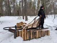 Finnland - Katja von der Husky-Farm