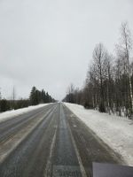 2. Tag - Start der Rundreise Richtung Iso-Syöte Nationalpark
