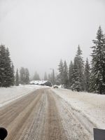 2. Tag - auf verschneiten Straßen durch den Nationalpark