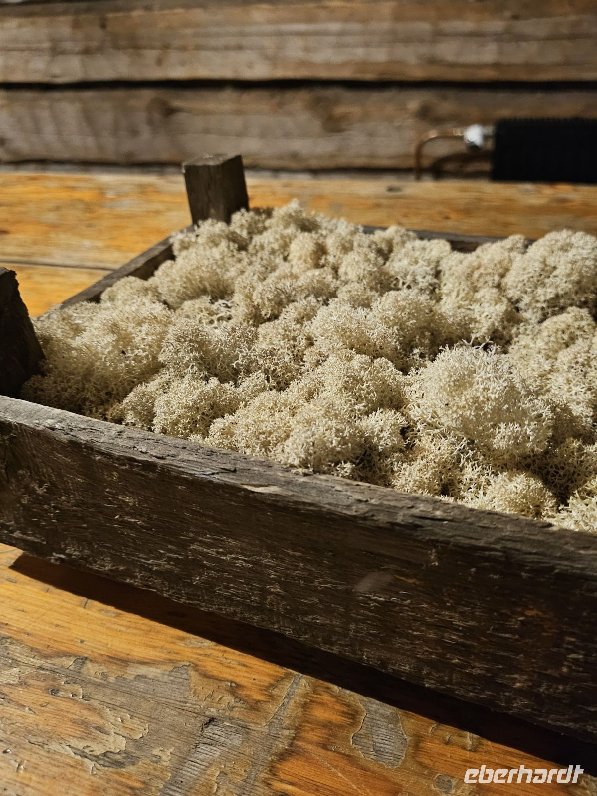 3- Tag - Moos-Kunst in der Brauerei auf Hailuoto