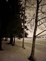 4. Tag -  Nordlichterjagd