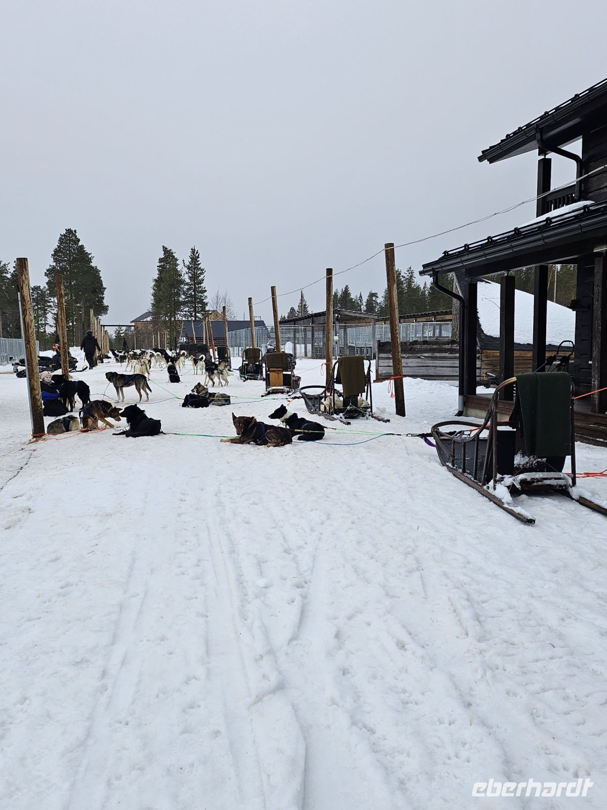 5. Tag - Husky Schlittentour