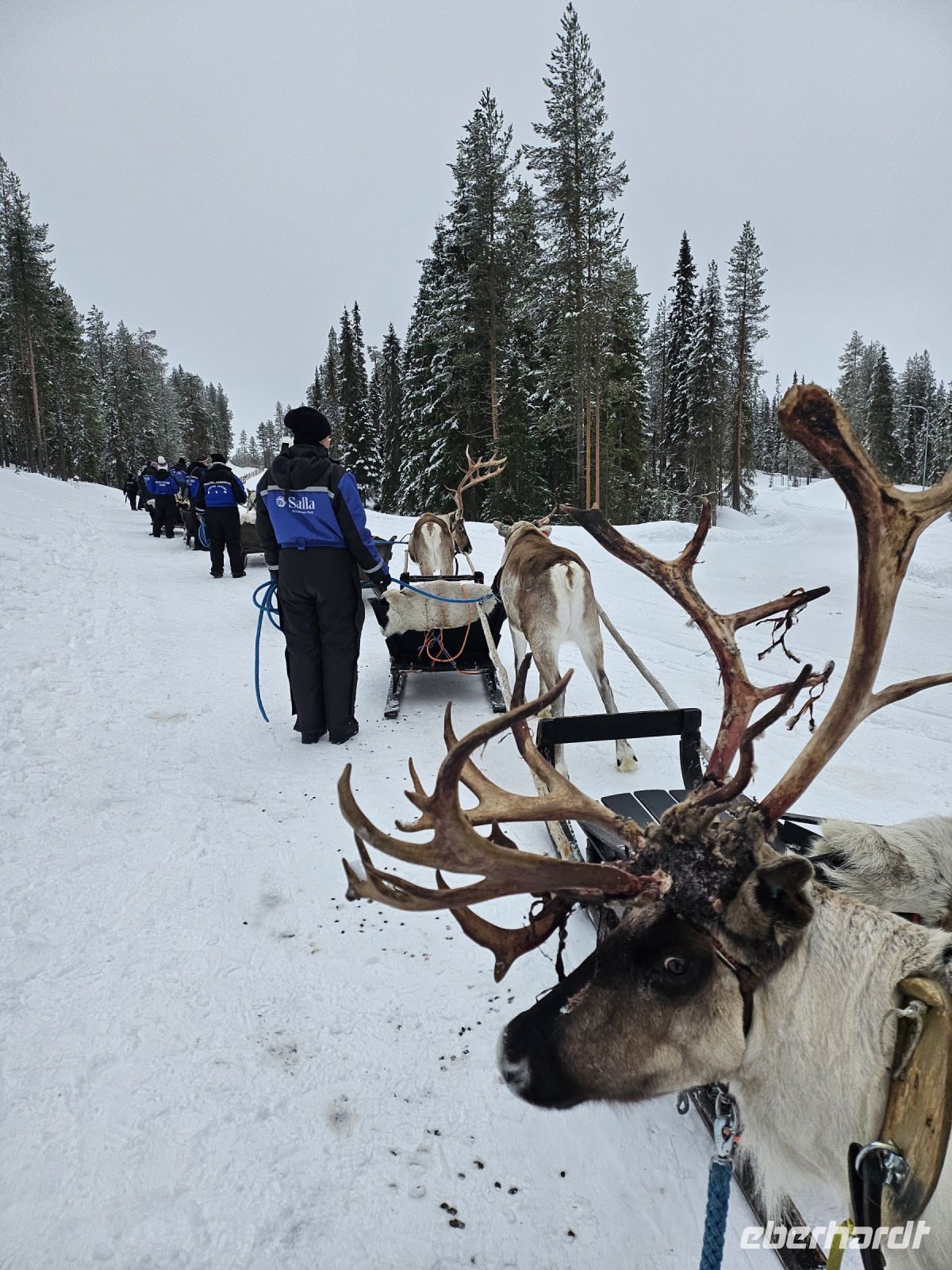 Tag 7 -  Rentiersafari in Salla