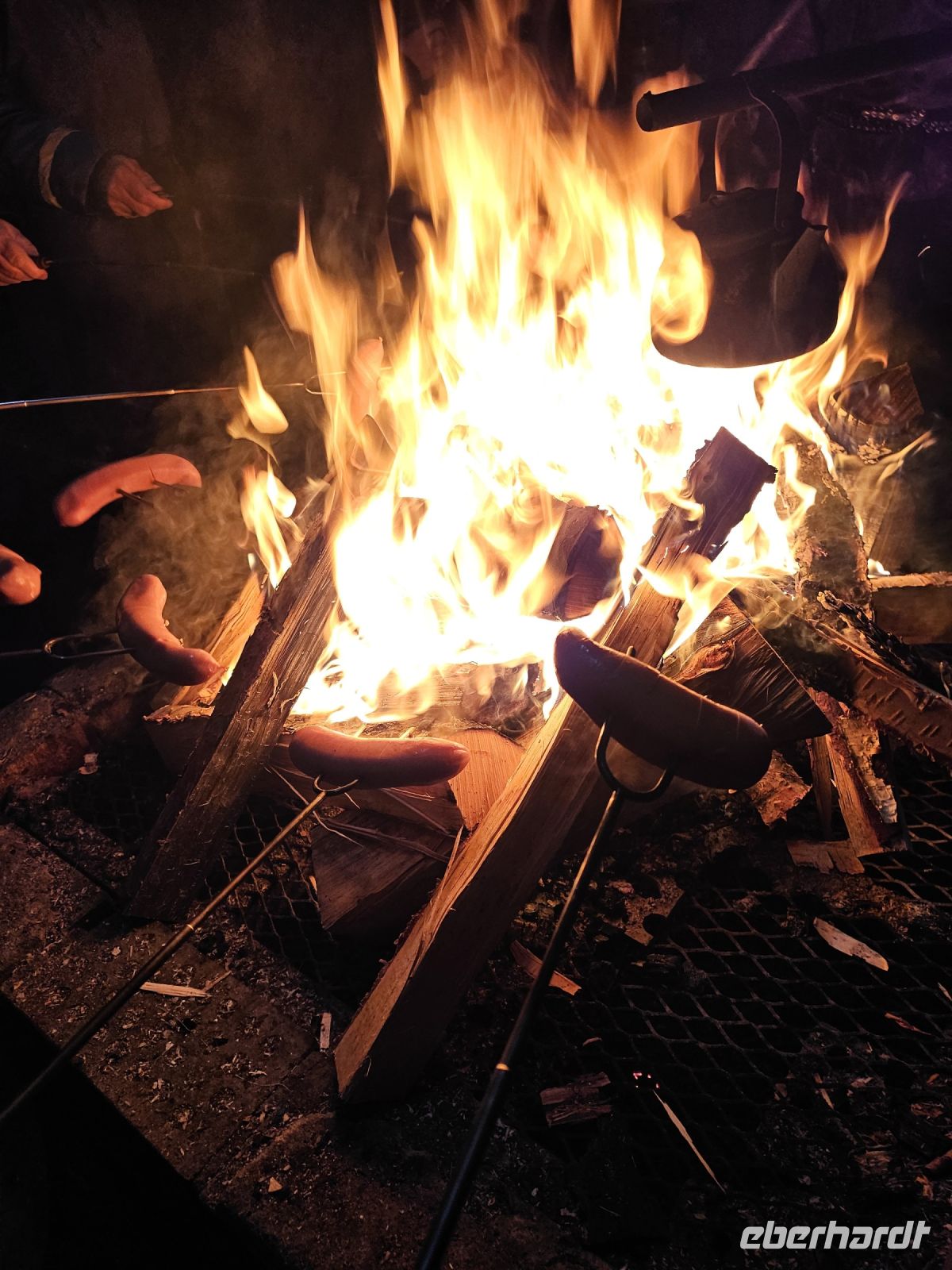 Tag 7 -  Rentiersafari in Salla (4)