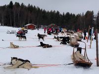 Finnland - nach der Schlittenfahrt 