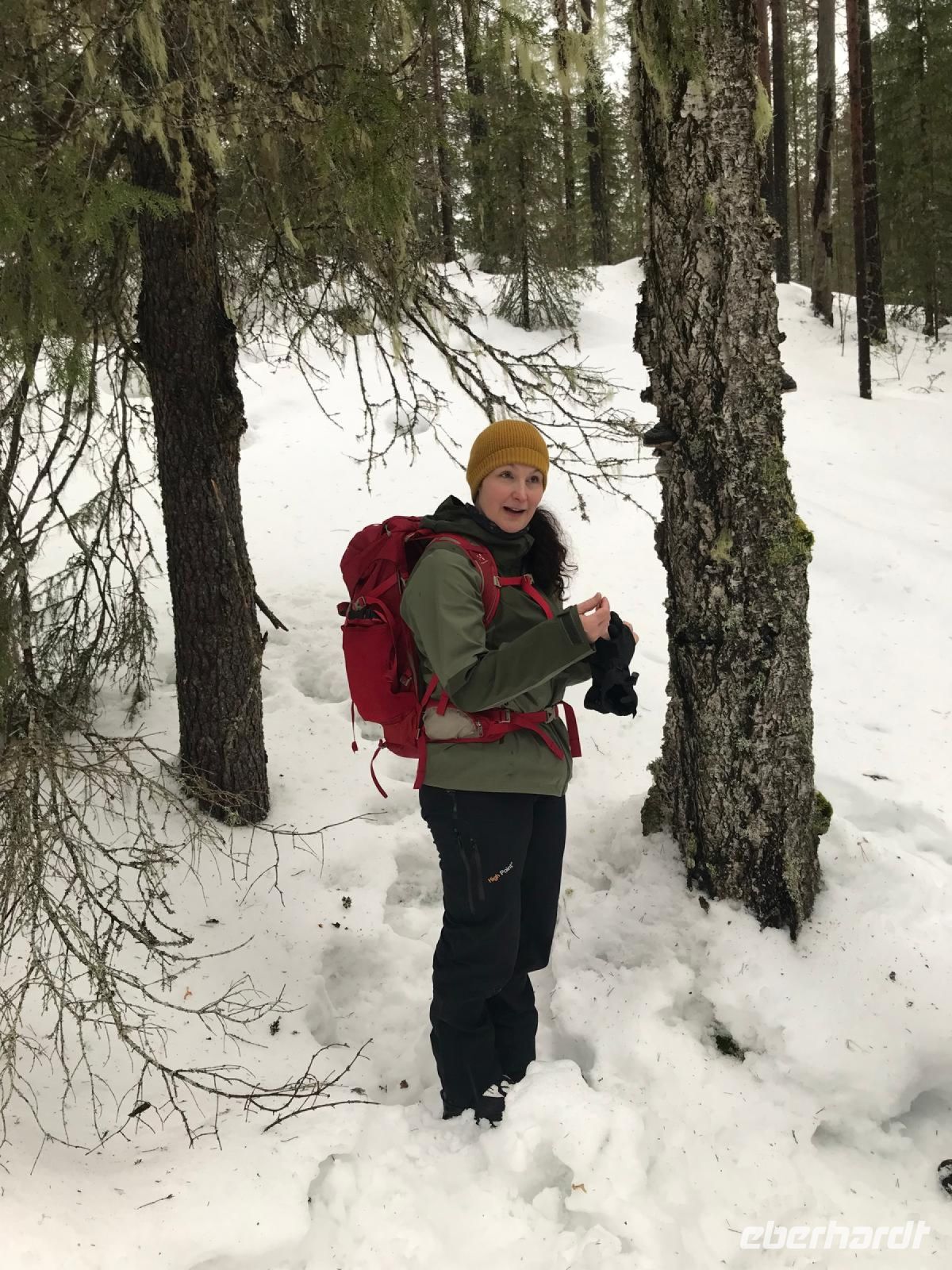 Wanderung im Korouma Canyon - Lappland, Finnland