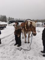 Bauernhof in Lappland, Finnland