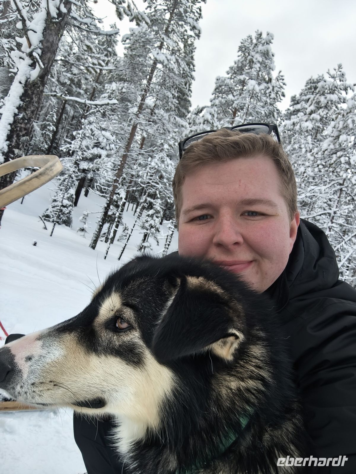 Reisebegleiter Sten auf Huskyschlittentour in Lappland, Finnland