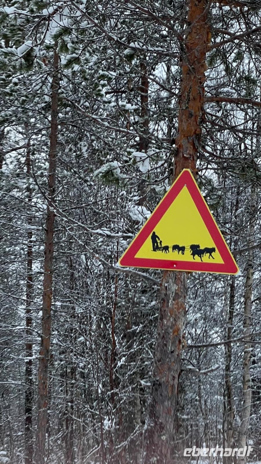 Huskyschlittentour in Lappland, Finnland