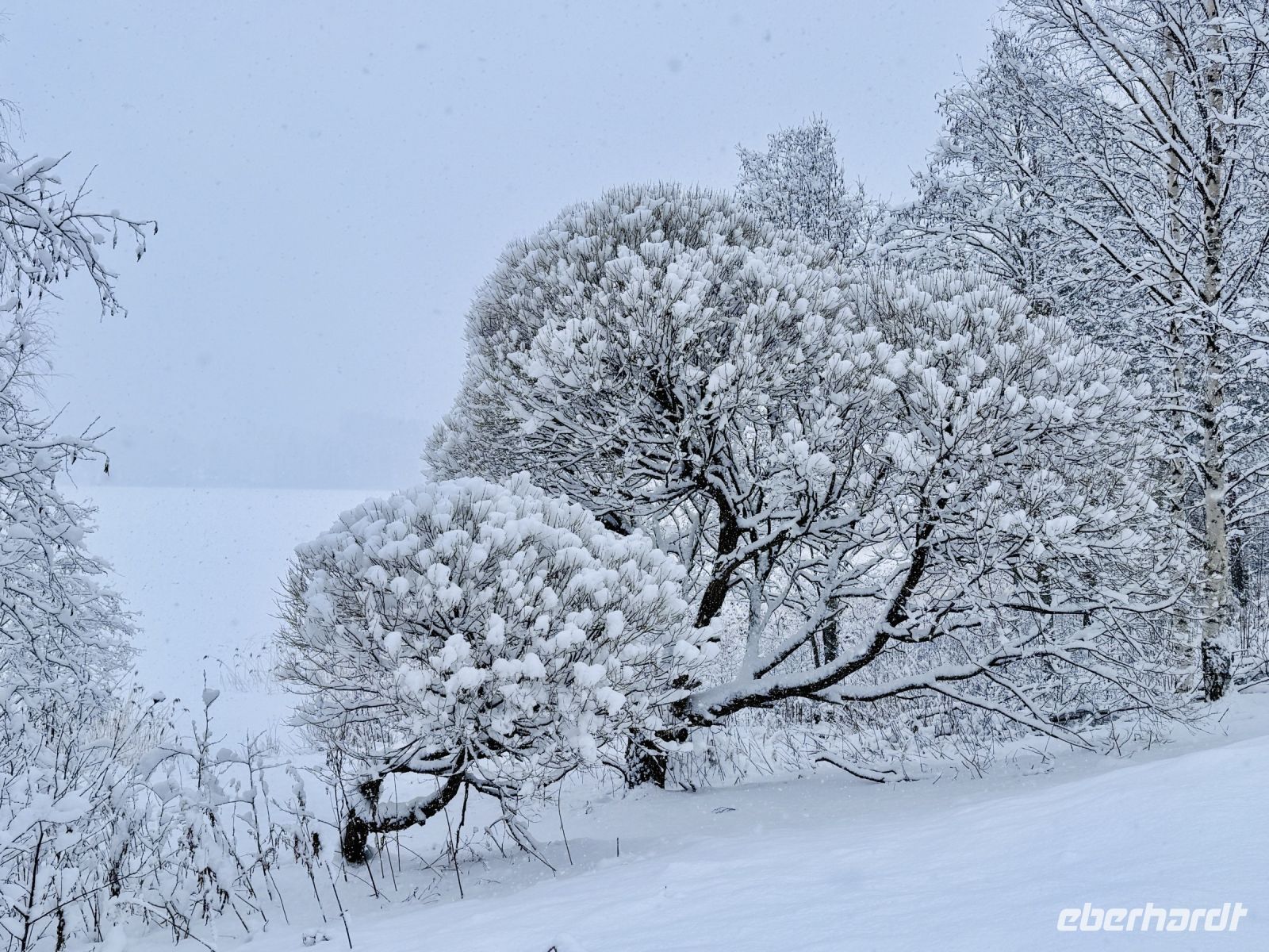Tag 4 - Winterlicher Spaziergang in Finnland 