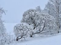 Tag 4 - Winterlicher Spaziergang in Finnland 