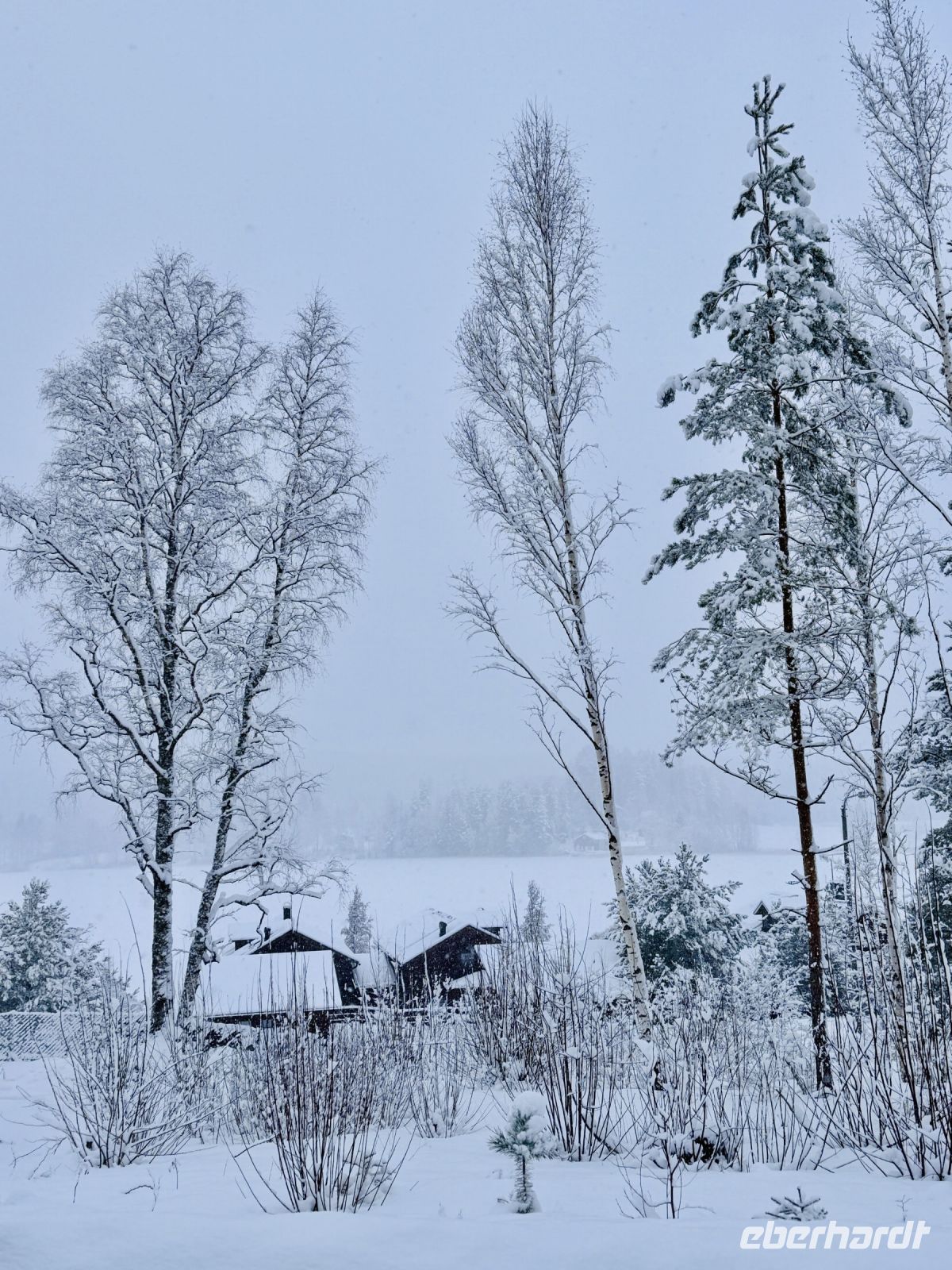 Tag 4 - Winterlicher Spaziergang in Finnland
