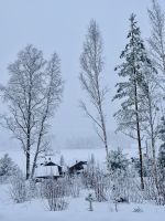 Tag 4 - Winterlicher Spaziergang in Finnland