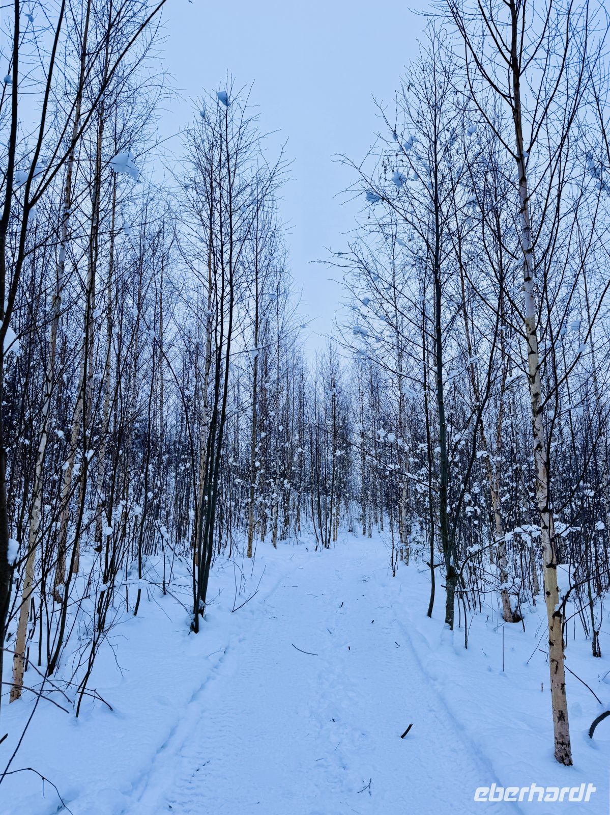 3. Tag - Finnische Winterlandschaft 