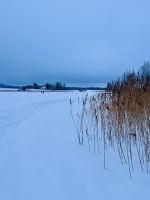3. Tag - Finnische Winterlandschaft 