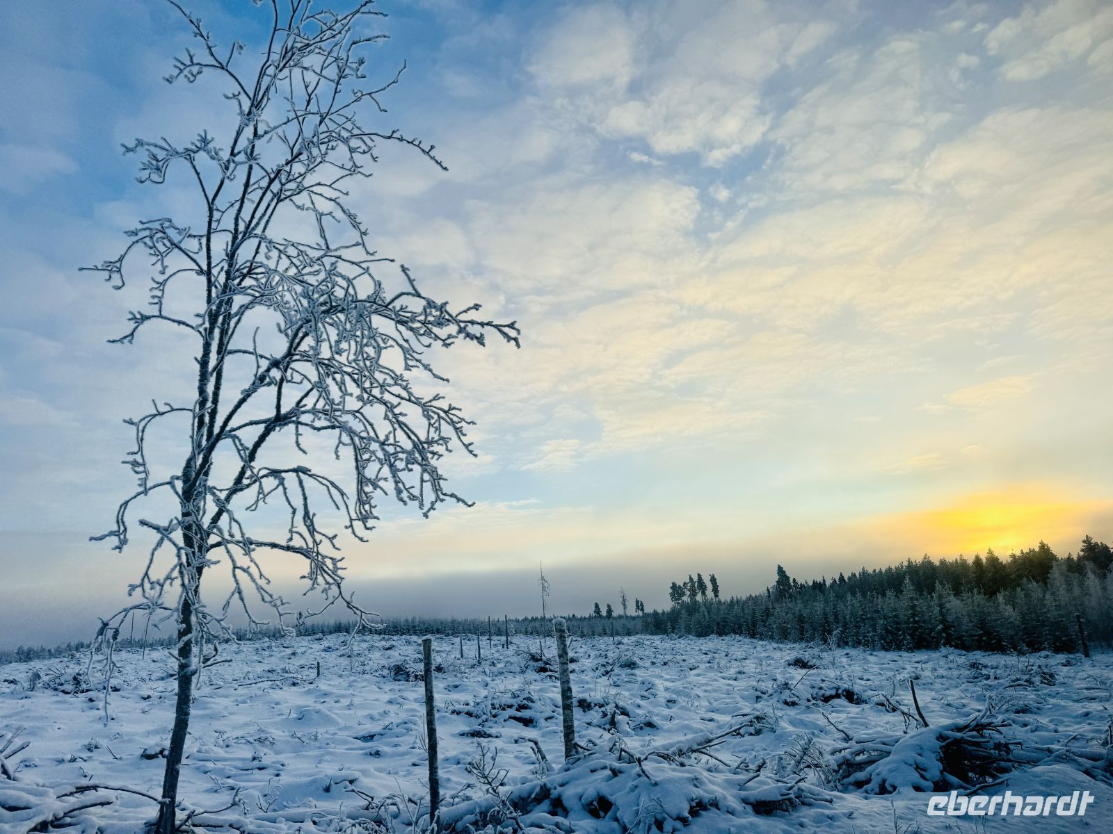 4. Tag - Finnische Winterlandschaft 