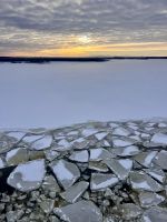 4. Tag - Fahrt von Vaasa nach Umeå mit der Wasalinie