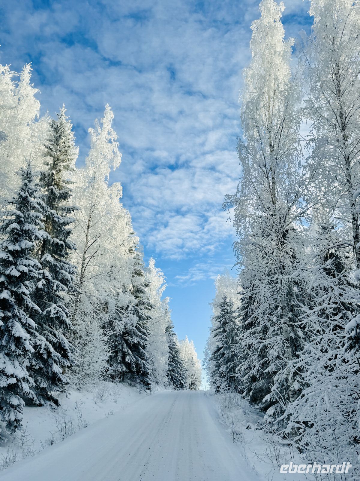 5. Tag - Finnische Winterlandschaft 