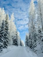 5. Tag - Finnische Winterlandschaft 