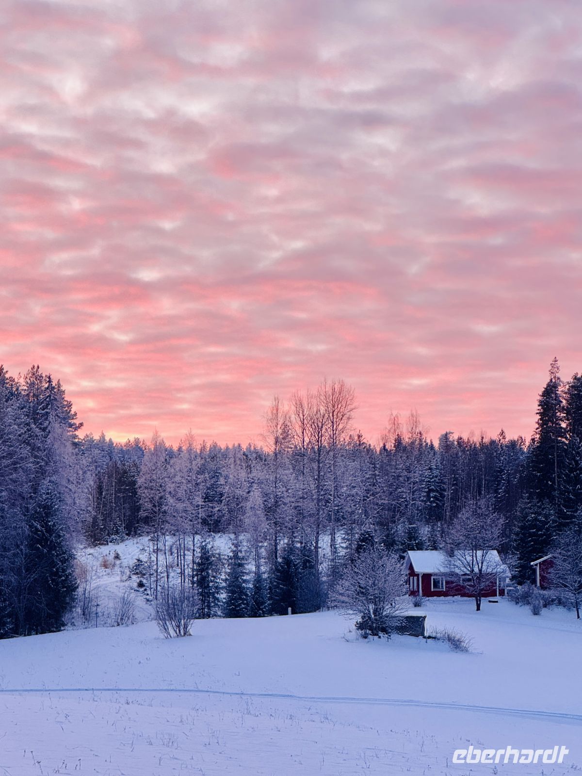 5. Tag - Finnische Winterlandschaft 