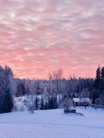 5. Tag - Finnische Winterlandschaft 